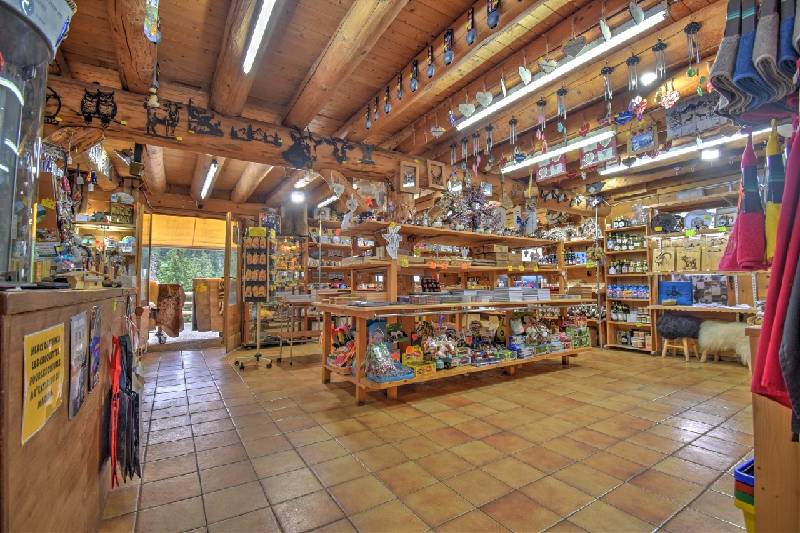 Chalet - MONTRIOND