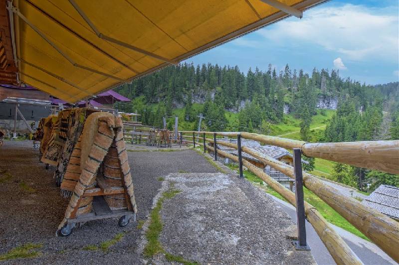 Chalet - MONTRIOND