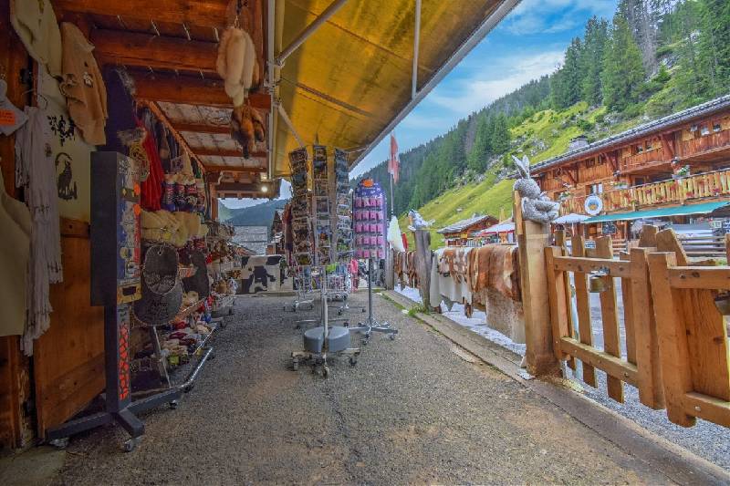 Chalet - MONTRIOND