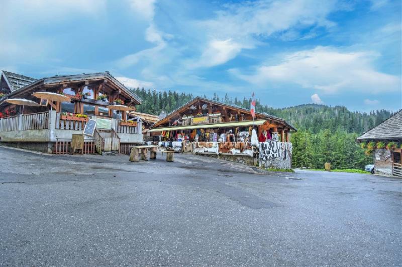 Chalet - MONTRIOND