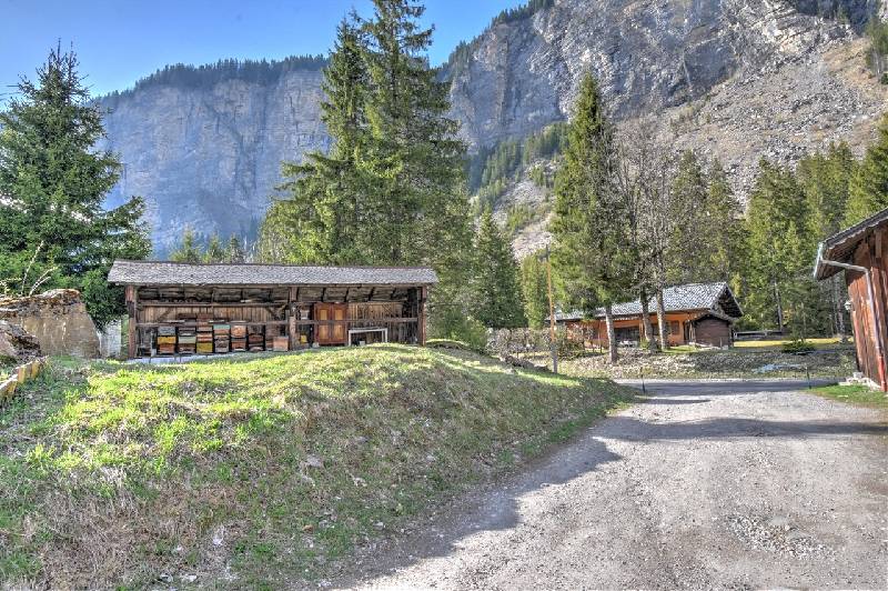 Vente Terrain MORZINE