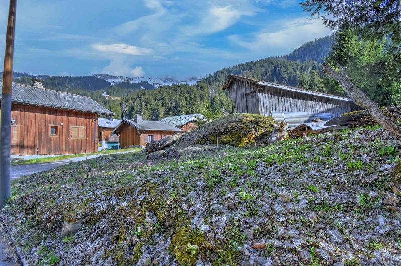 Terrain - MORZINE