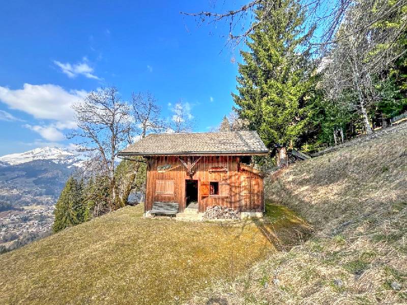 Vente Chalet MONTRIOND