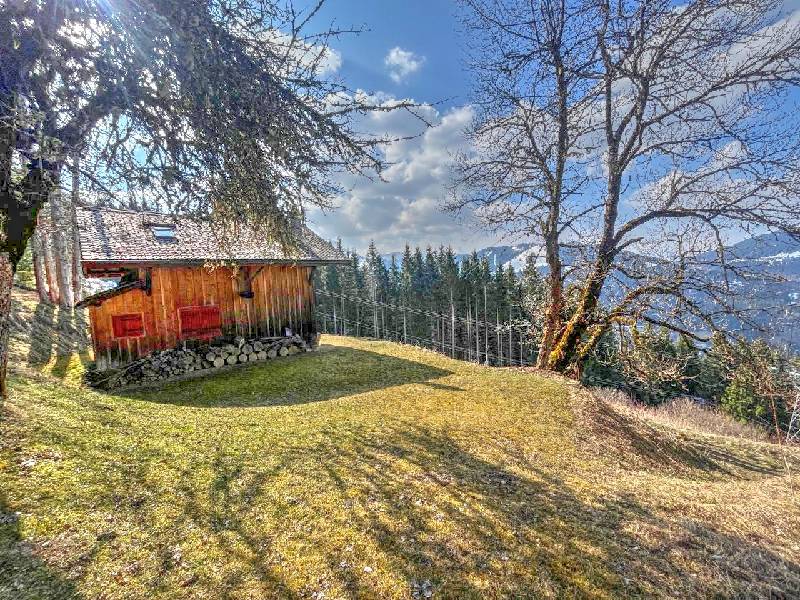 Chalet - MONTRIOND
