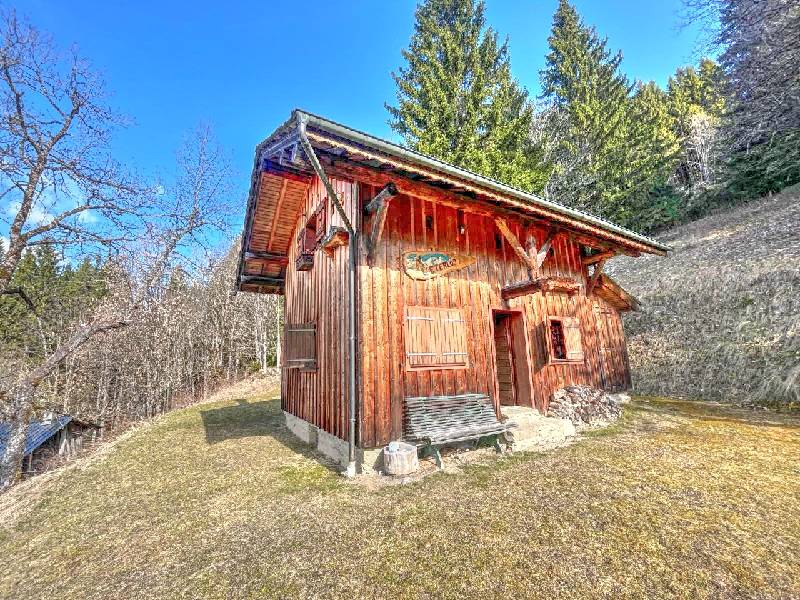 Chalet - MONTRIOND